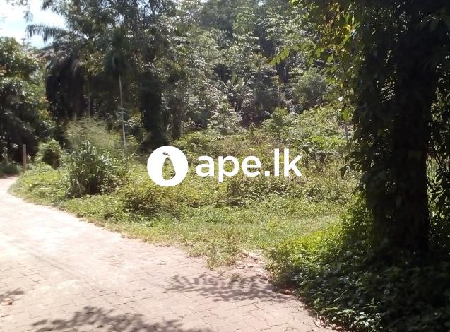 Good land for business